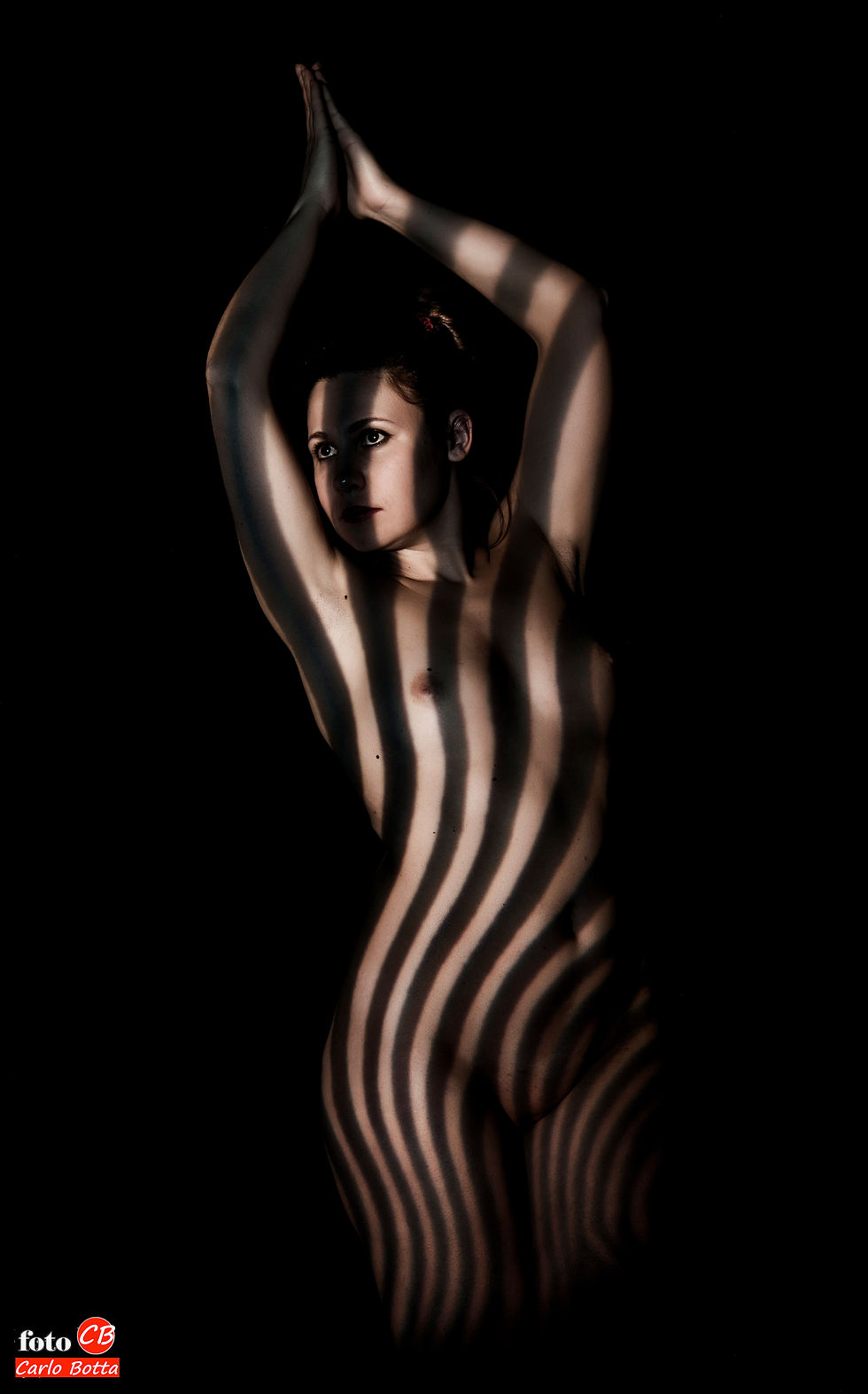 _D3X8013