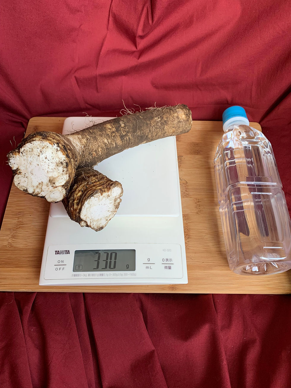 サムネイル： 山川わさび（600g）