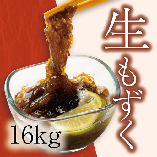 生もずく16kg | 宮古島漁業協同組合