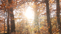 Screen Shot 2013-12-28 at 01.03.26_edited.png