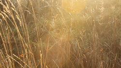 Screen Shot 2013-12-28 at 01.04.12_edited.png