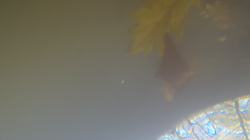 Edited Image 2013-11-24-16:24:39