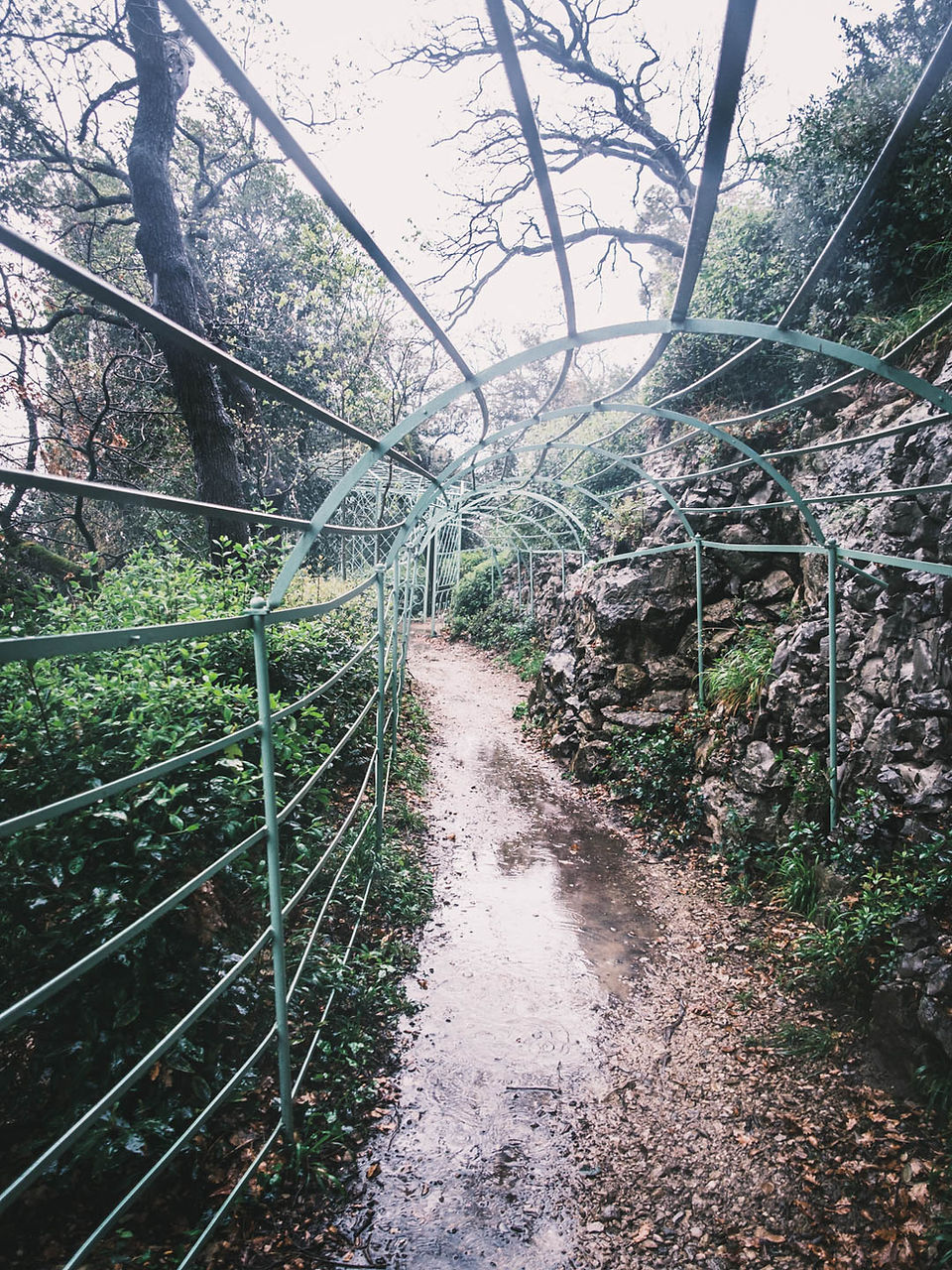 Schlosspark Miramare bei Regen