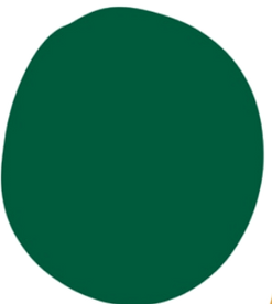 Untitled_Artwork%20(5)_edited.png