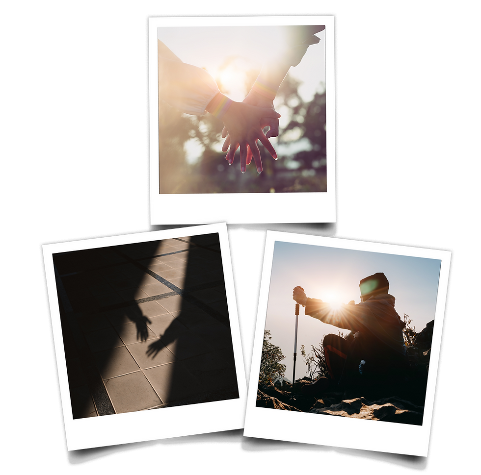 Polaroids zum Thema Genres