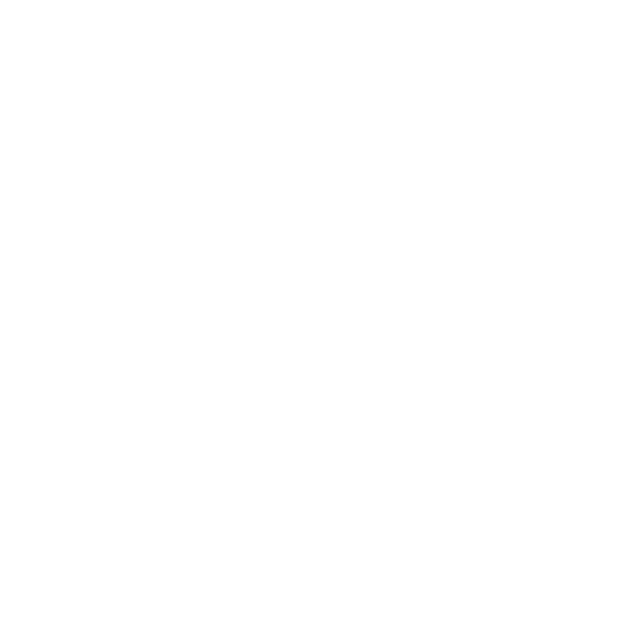 Dark-Light-Publishing_2_transparent.png