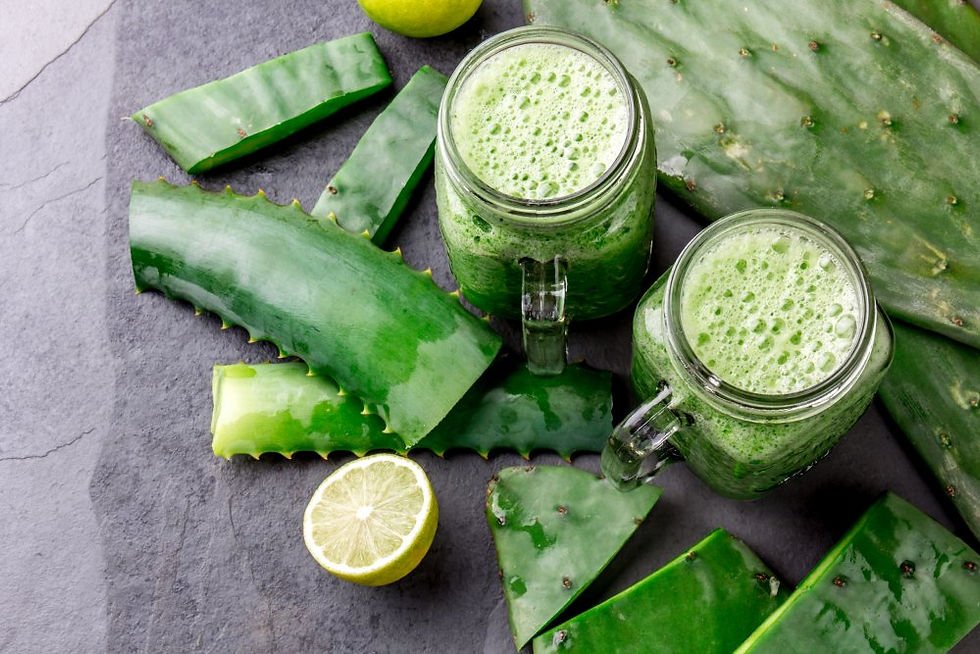 Aloe vera comestible