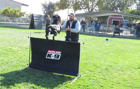 Rottweiler litter available near me