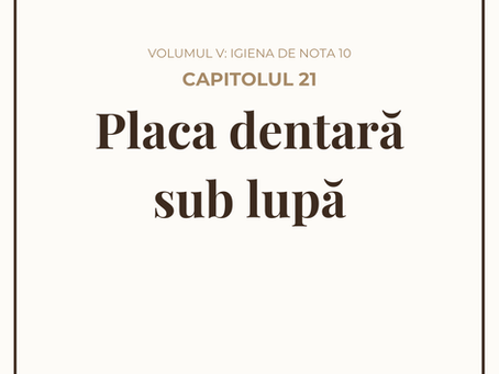 Igiena de acasă vs. Igienizarea profesională: De ce ai nevoie de ambele?