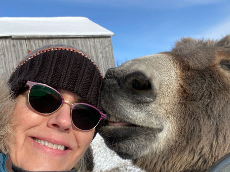 Spring Is in the Air 🌷🌱