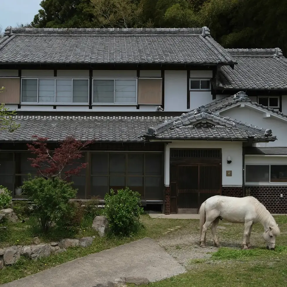 Horse Riding in Japan for English Speakers: Why You Need More Than Just a Booking