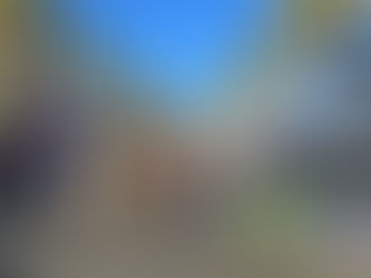 Celebrating Unity: Top US Pride Festivals