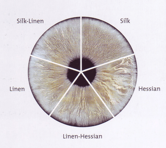 Iris Tissue Structure.