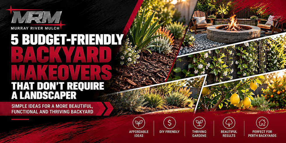 5 Budget-Friendly Backyard Makeovers That Don't Require a Landscaper