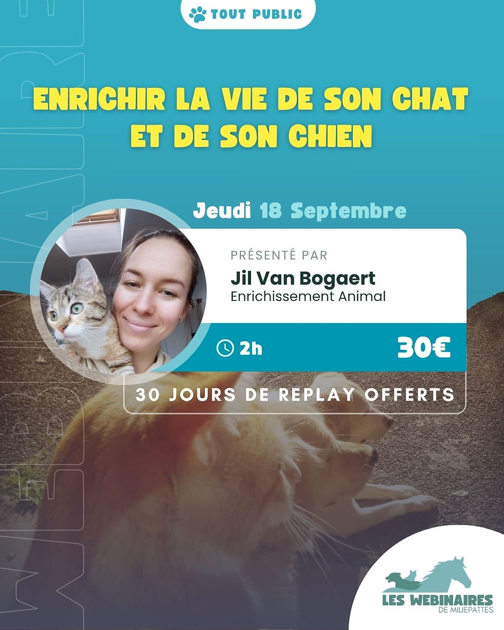 Enrichir la vie de son chat et de son chien