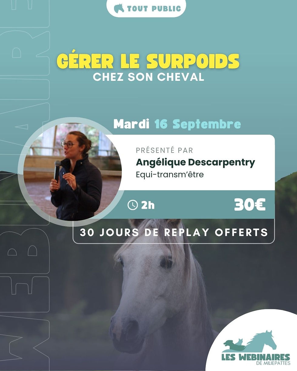 Gérer le surpoids chez son cheval