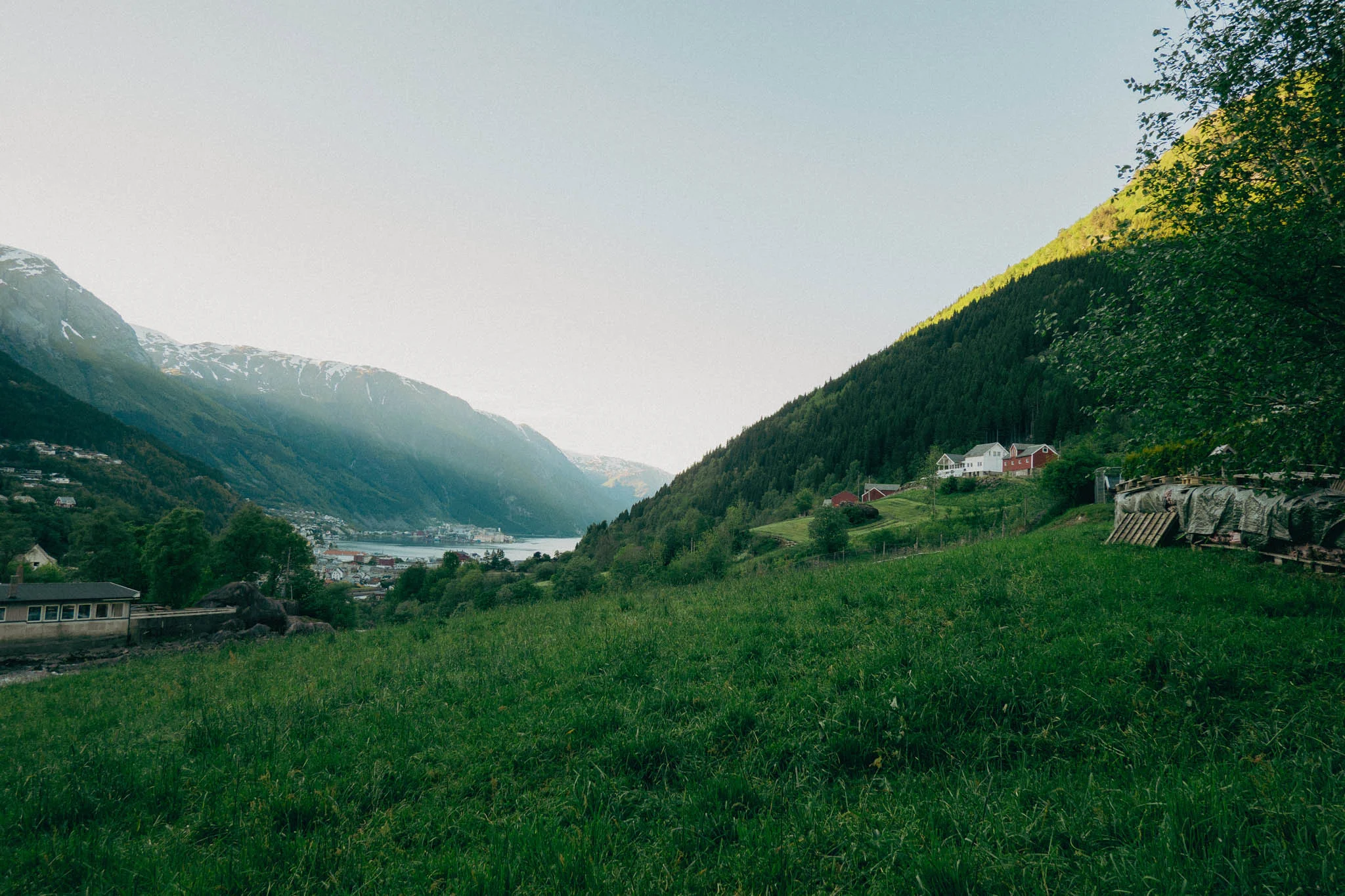 Green grass along the bank of a fjord with a small town and mountains in the background