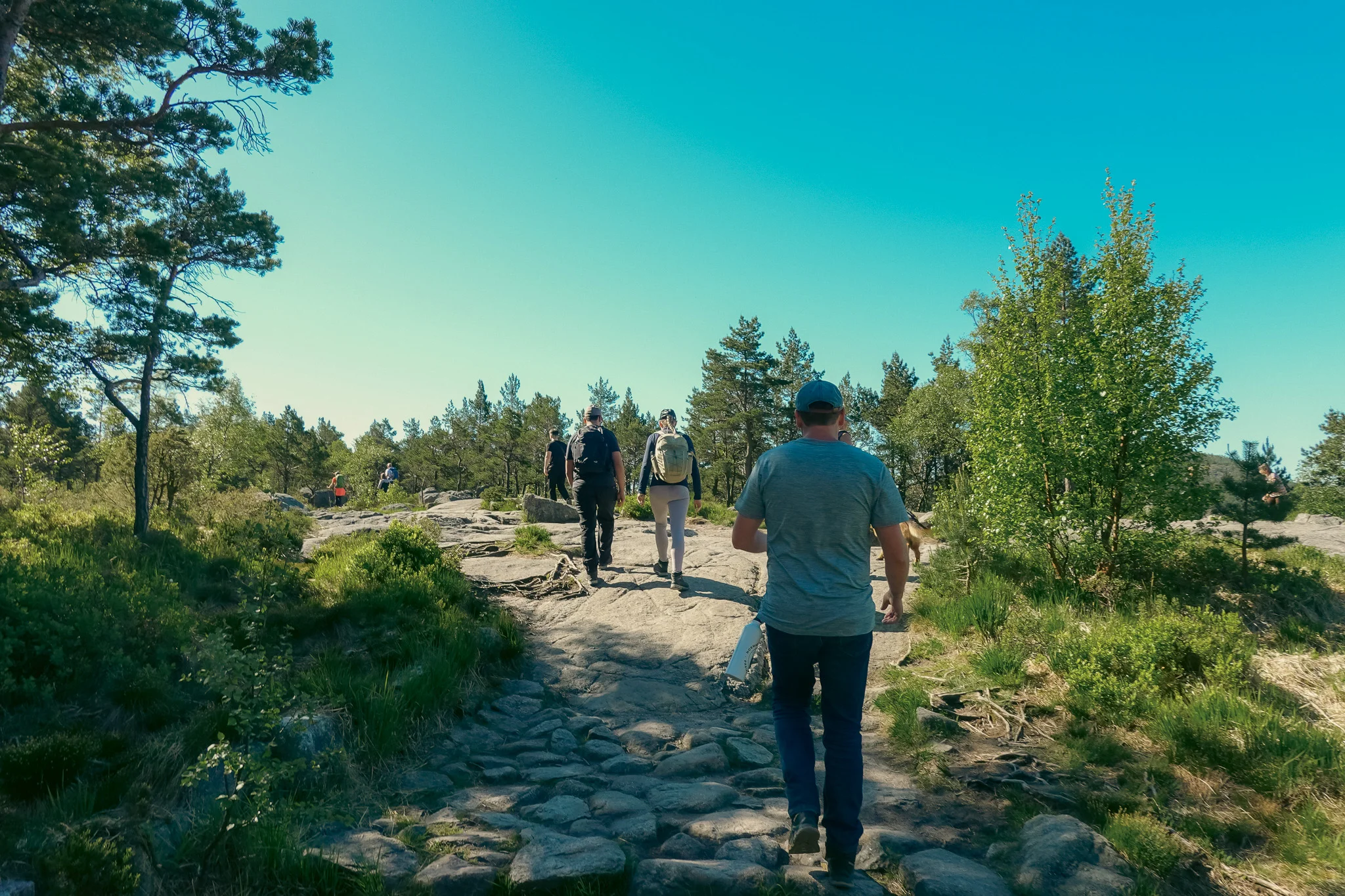 Groups of hikers approach a rocky opening on a trail lined with trees.