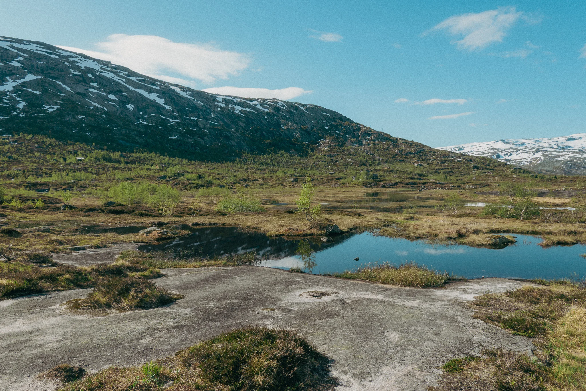 A blue body of water surrounded by green plants and snowcapped mountains in the background