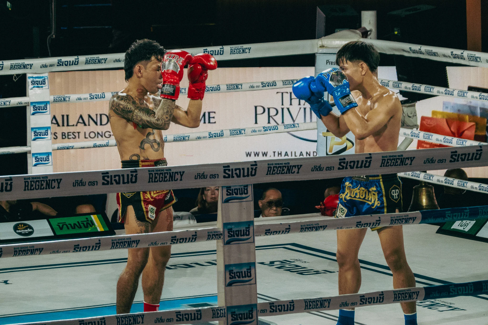 Muay Thai Fighter squaring up in the ring
