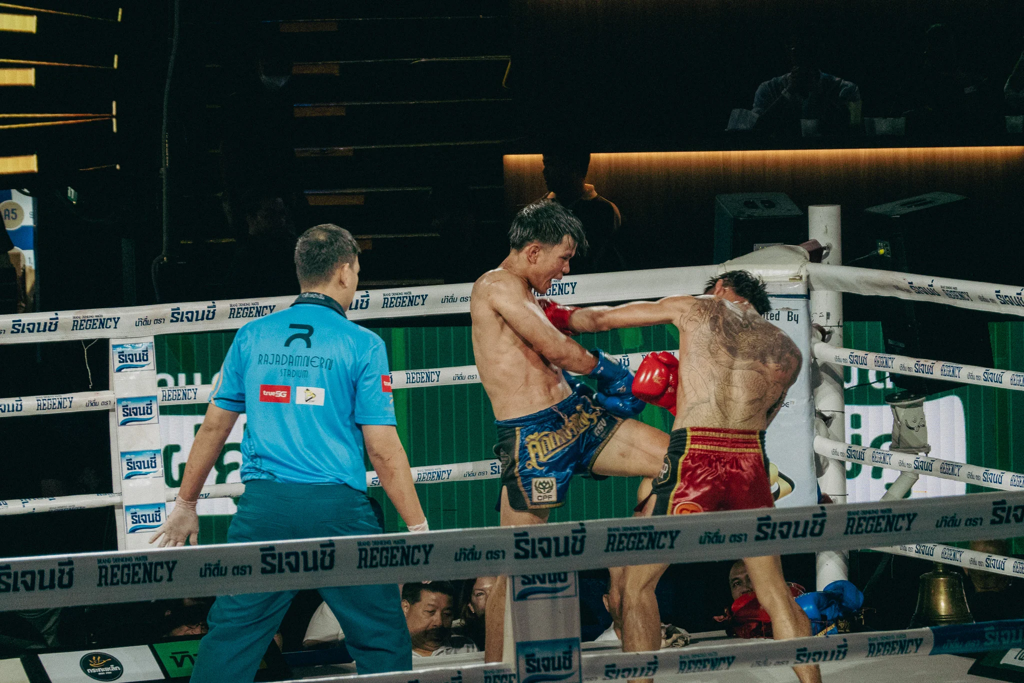 Muay Thai Fighters in combat in the ring