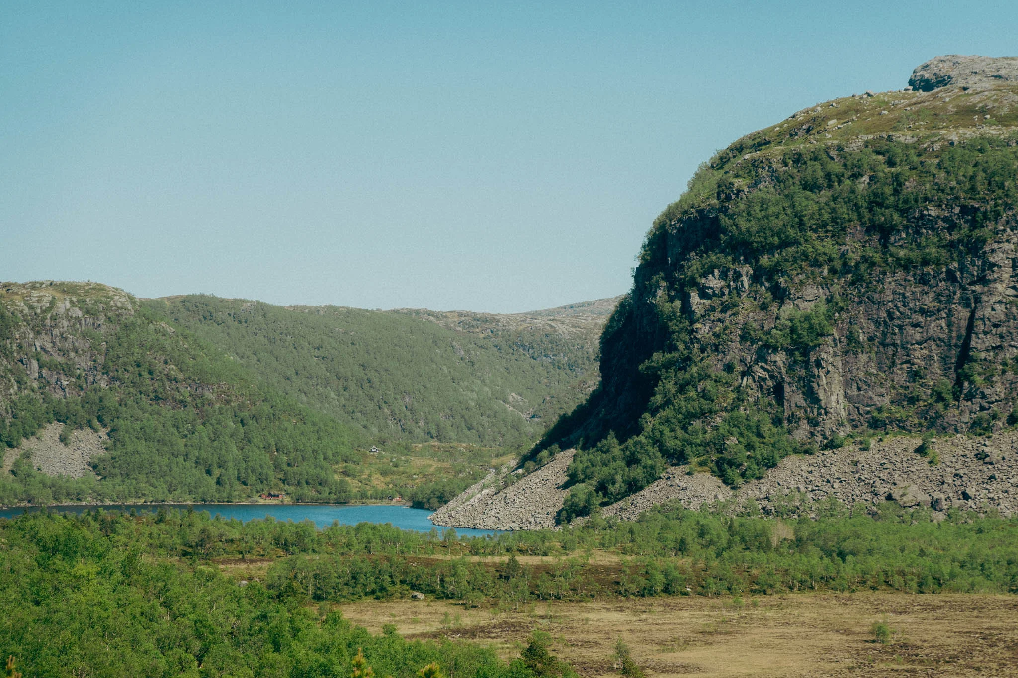 Green grass covered cliff leading in to a blue fjord in Norway