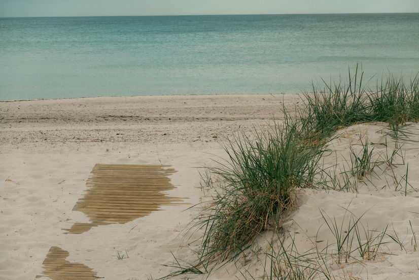 Sand dunes, beach grass, and a wooden walkway leading out to the beach and the ocean and sky in the background at Höllviken beach in Sweden