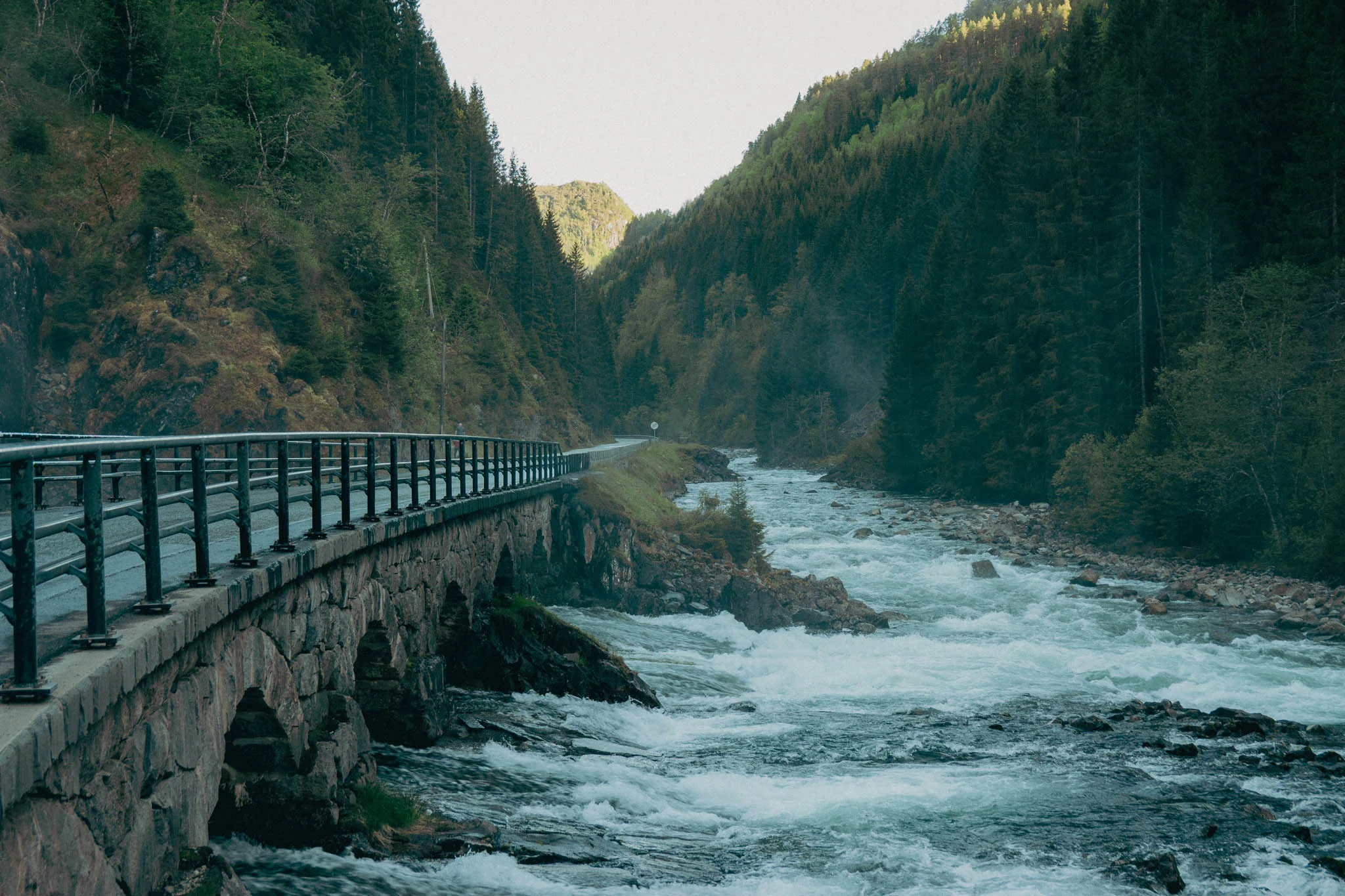 A bridge crossing a white water fjord with tree covered mountains in the background in Norway.