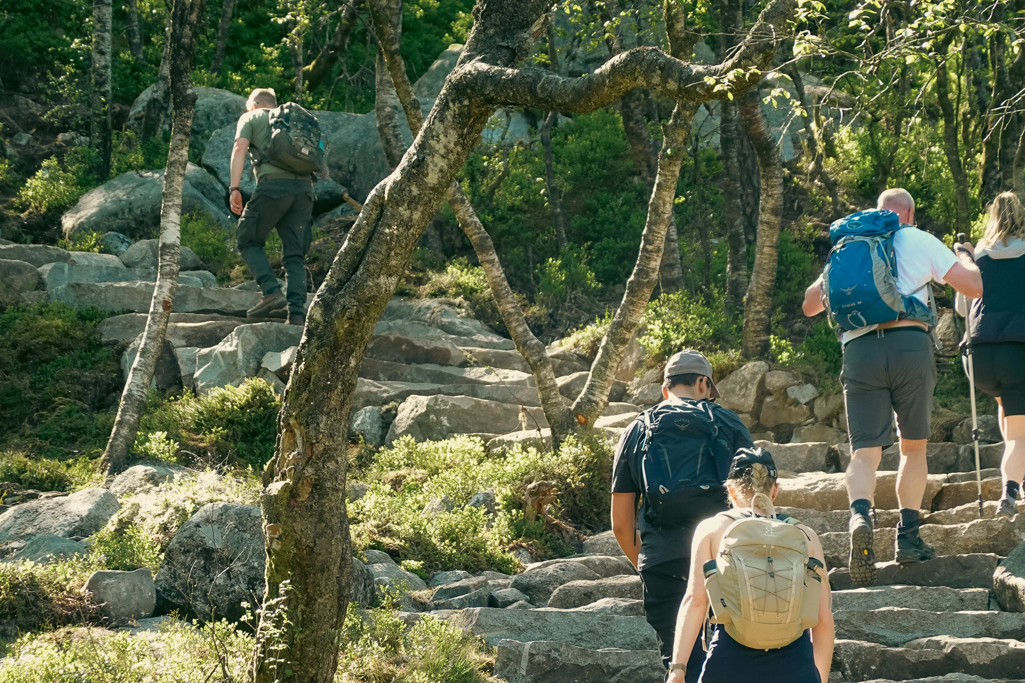 Groups of hikers wakling up stone steps along a trail with trees in the background.