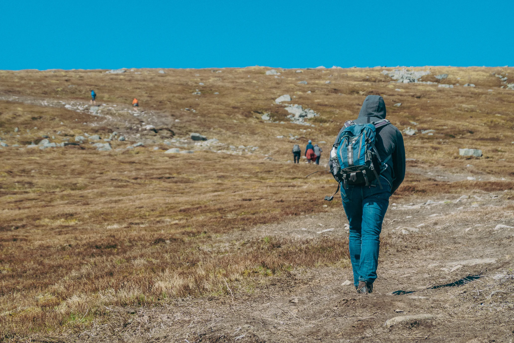 A hiker with a blue back pack climbs a steep dirt trail