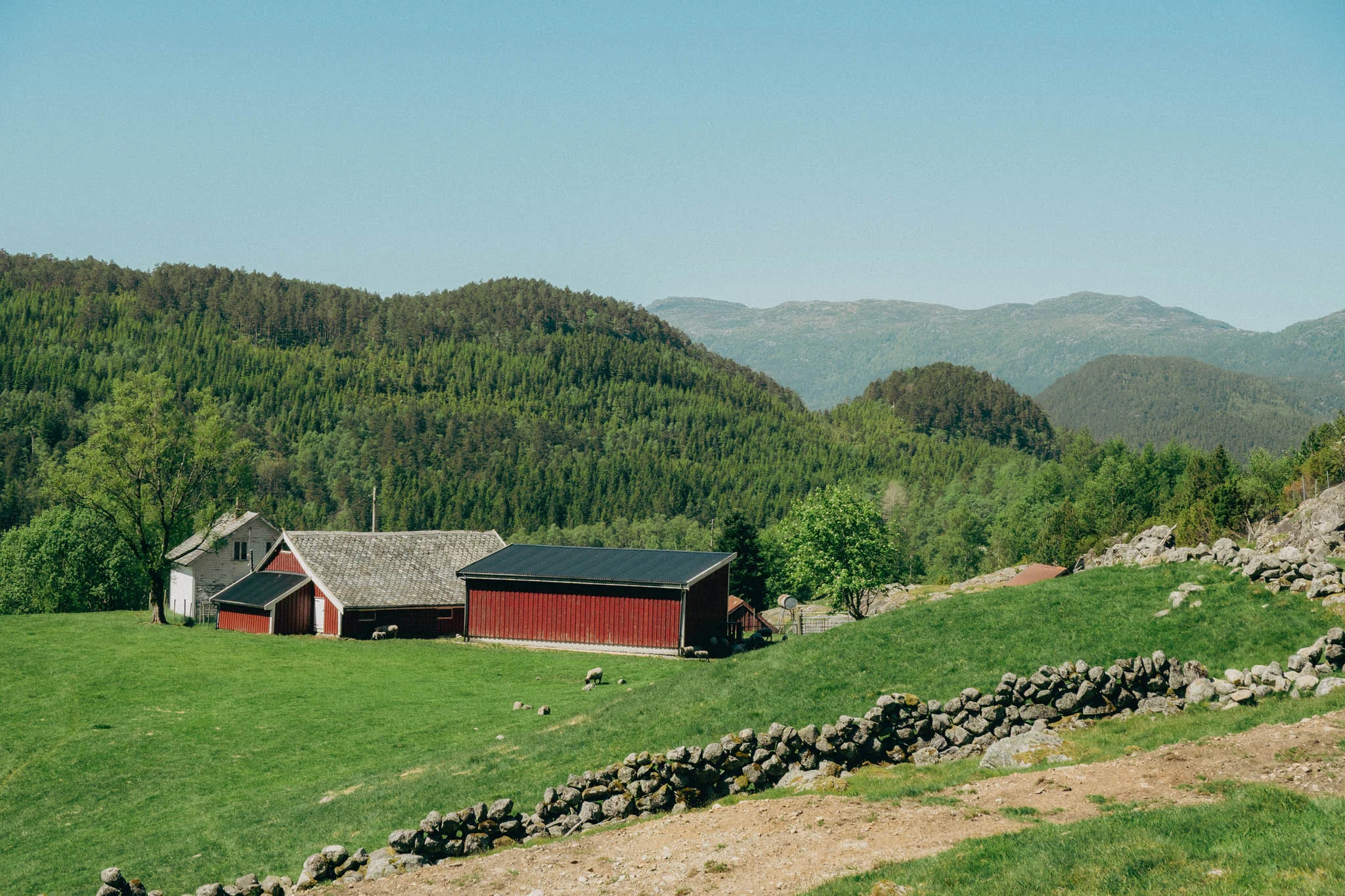 Green rolling hills with a red barn in the foreground on farmland in Norway