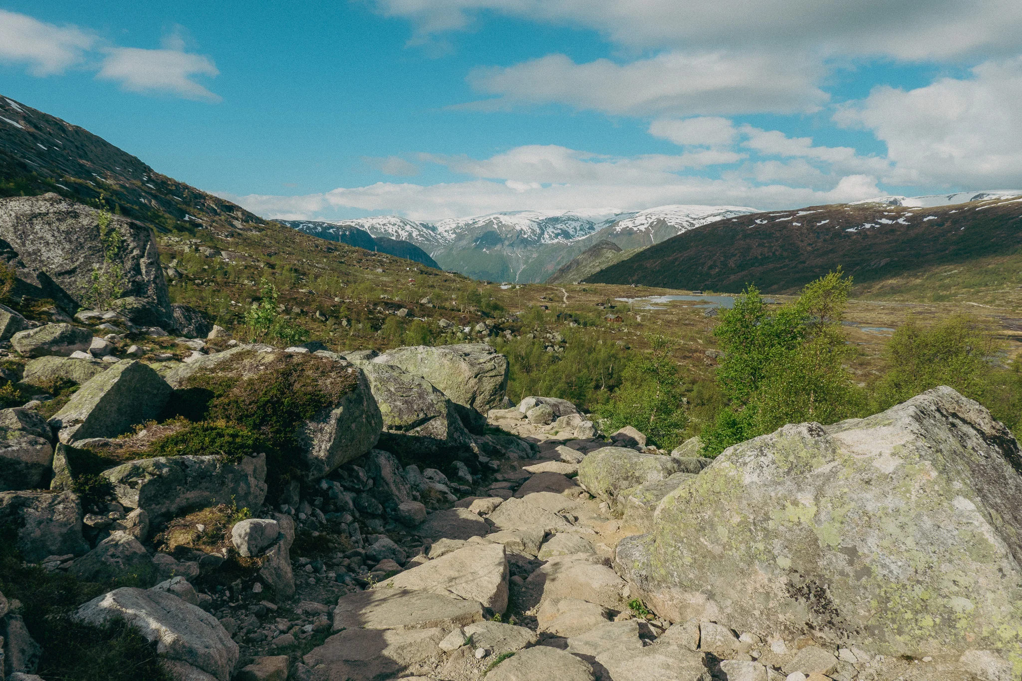 Stone path on the Trolltunga Trail in Norway with green plants and snowcapped mountains in the background