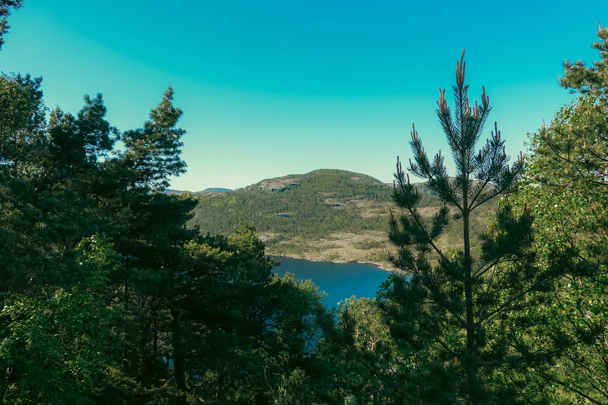 A lake and tree-lined mountain appear between two foreground trees on a clear blue day.