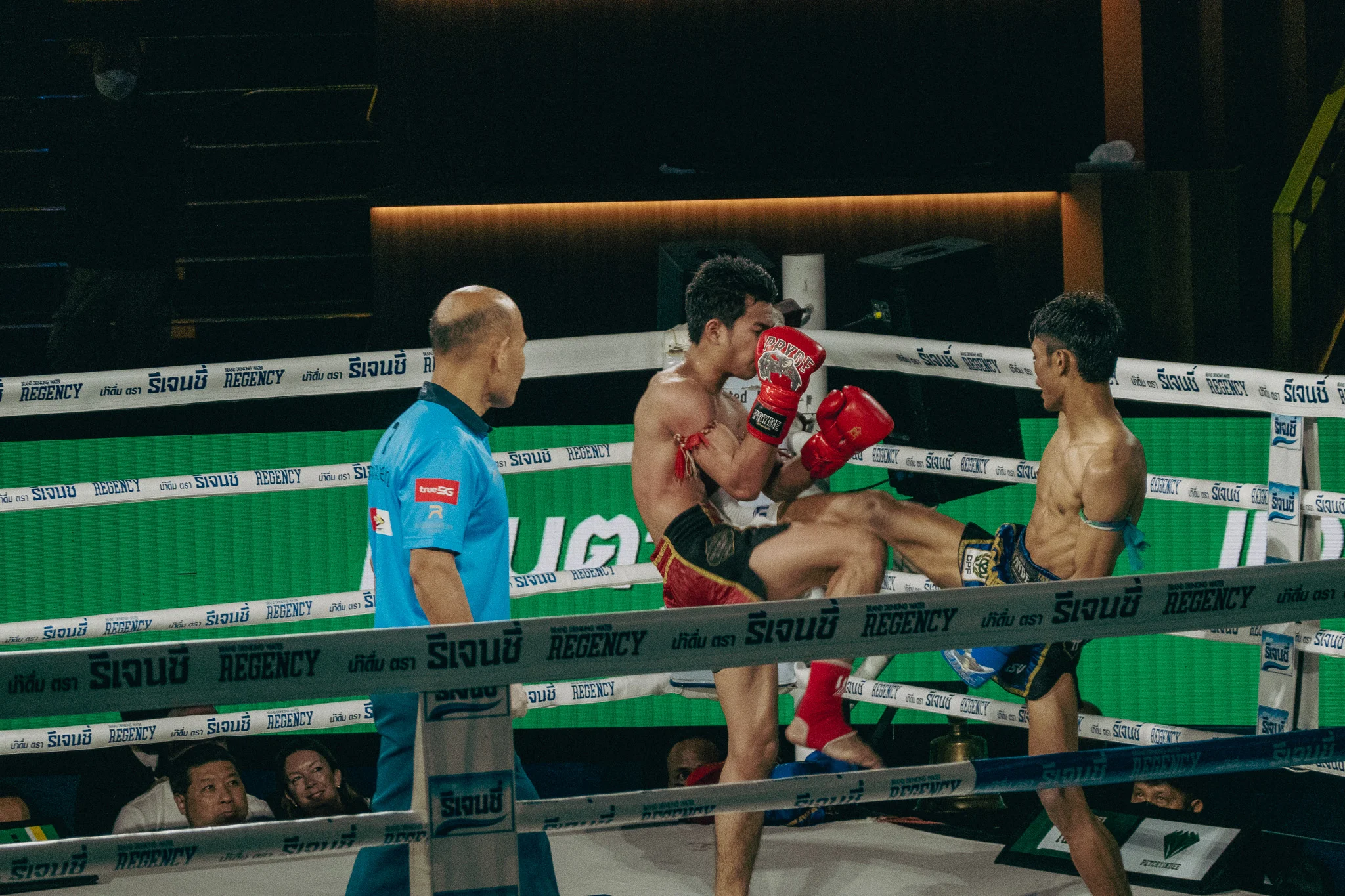 Muay Thai Fighters in combat in the ring