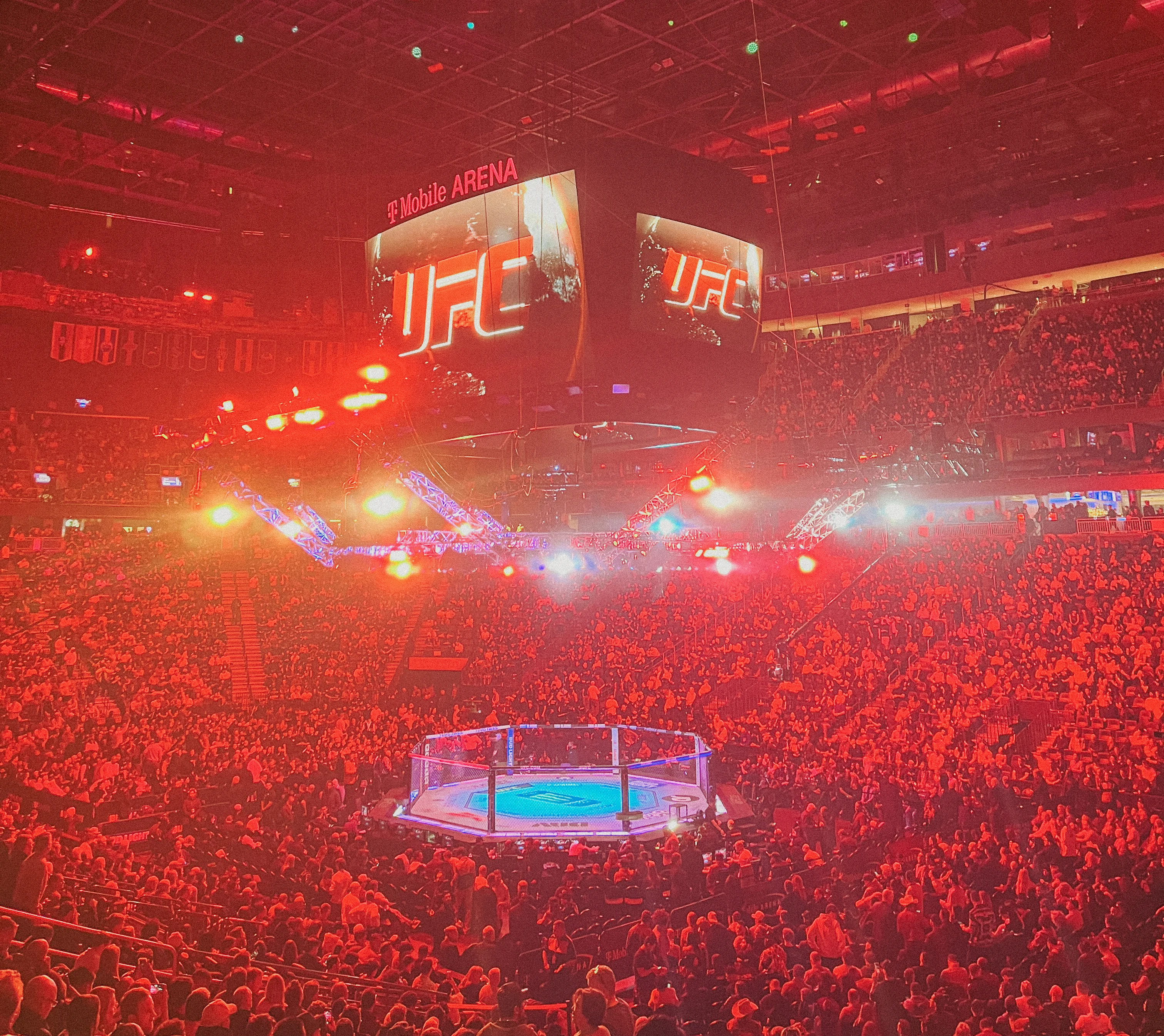 UFC Fight at T Mobile Arena