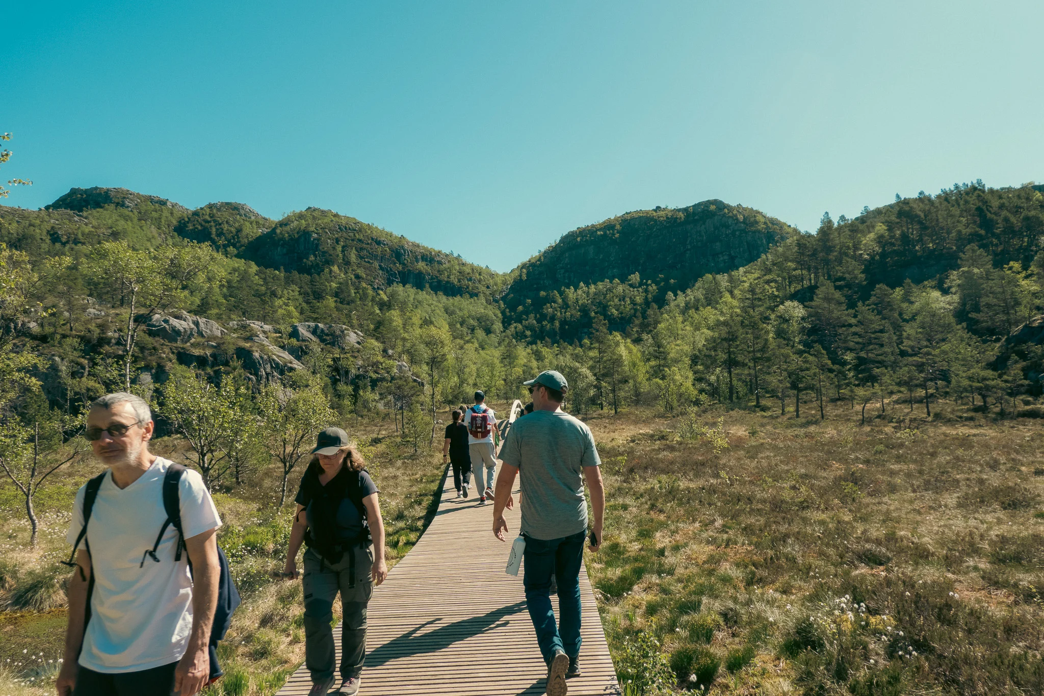 Groups of hikers walking along a wooden walkway with trees and mountains in the background.