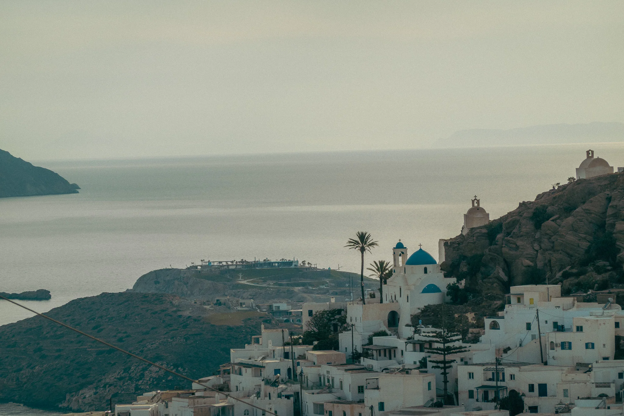 White buildings on the side of a hill and a palm tree overlooking the ocean and harbor