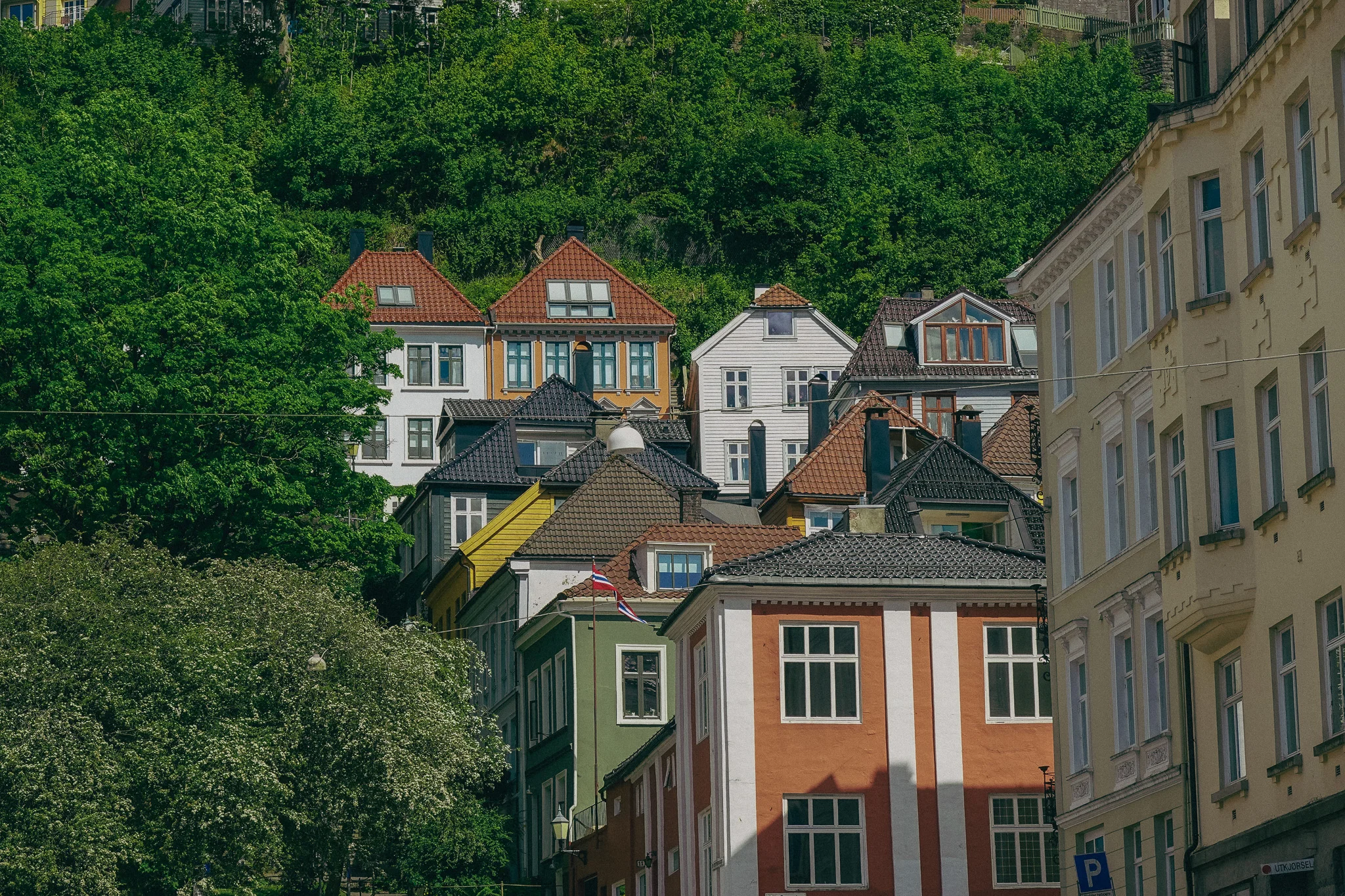 A row of old buildings layered in a hillside surrounded by green trees