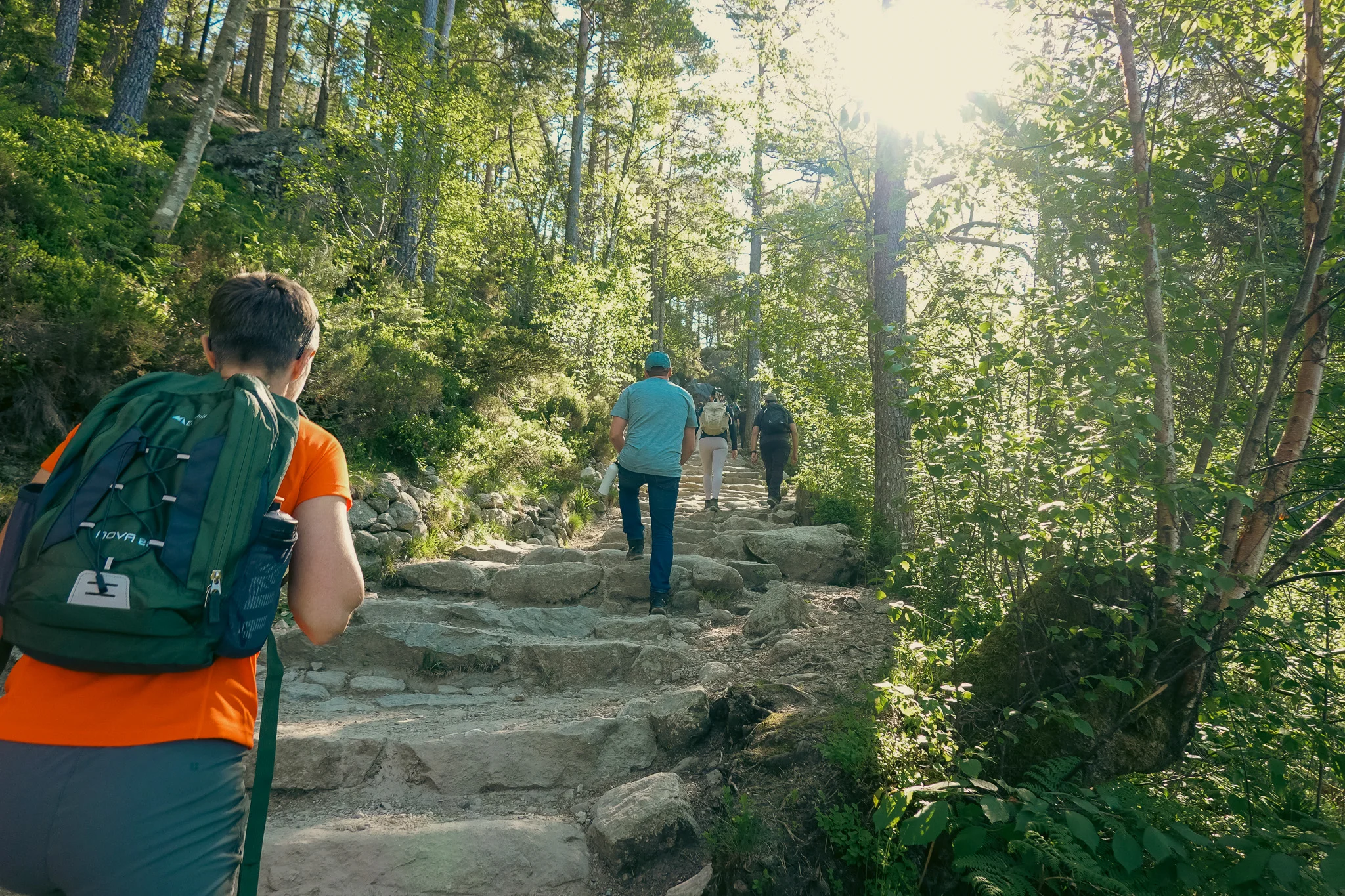 Groups of hikers wakling up stone steps along a trail lined with trees.