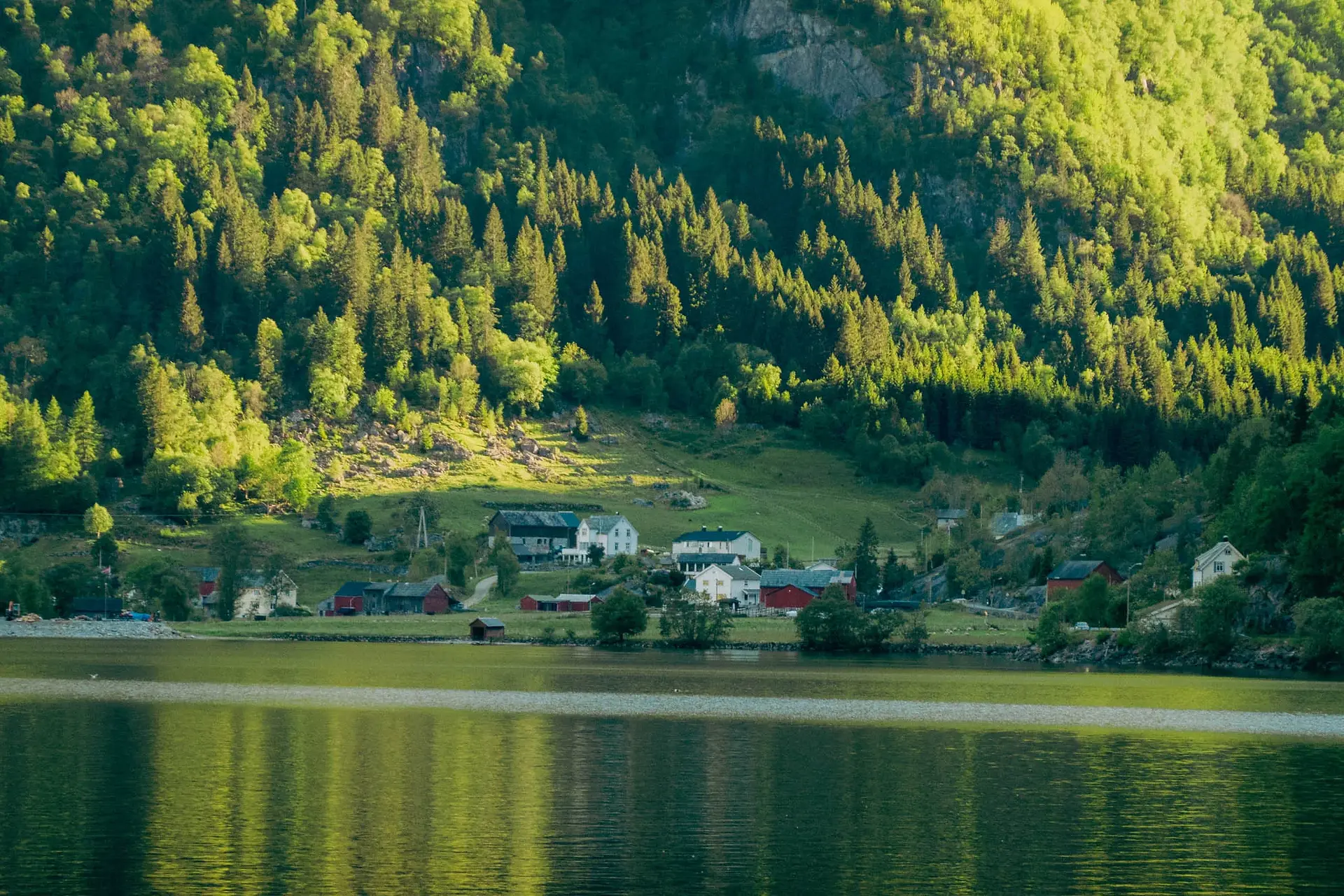 Clear fjord water with a small town on the water in the background and sunlit mountain trees
