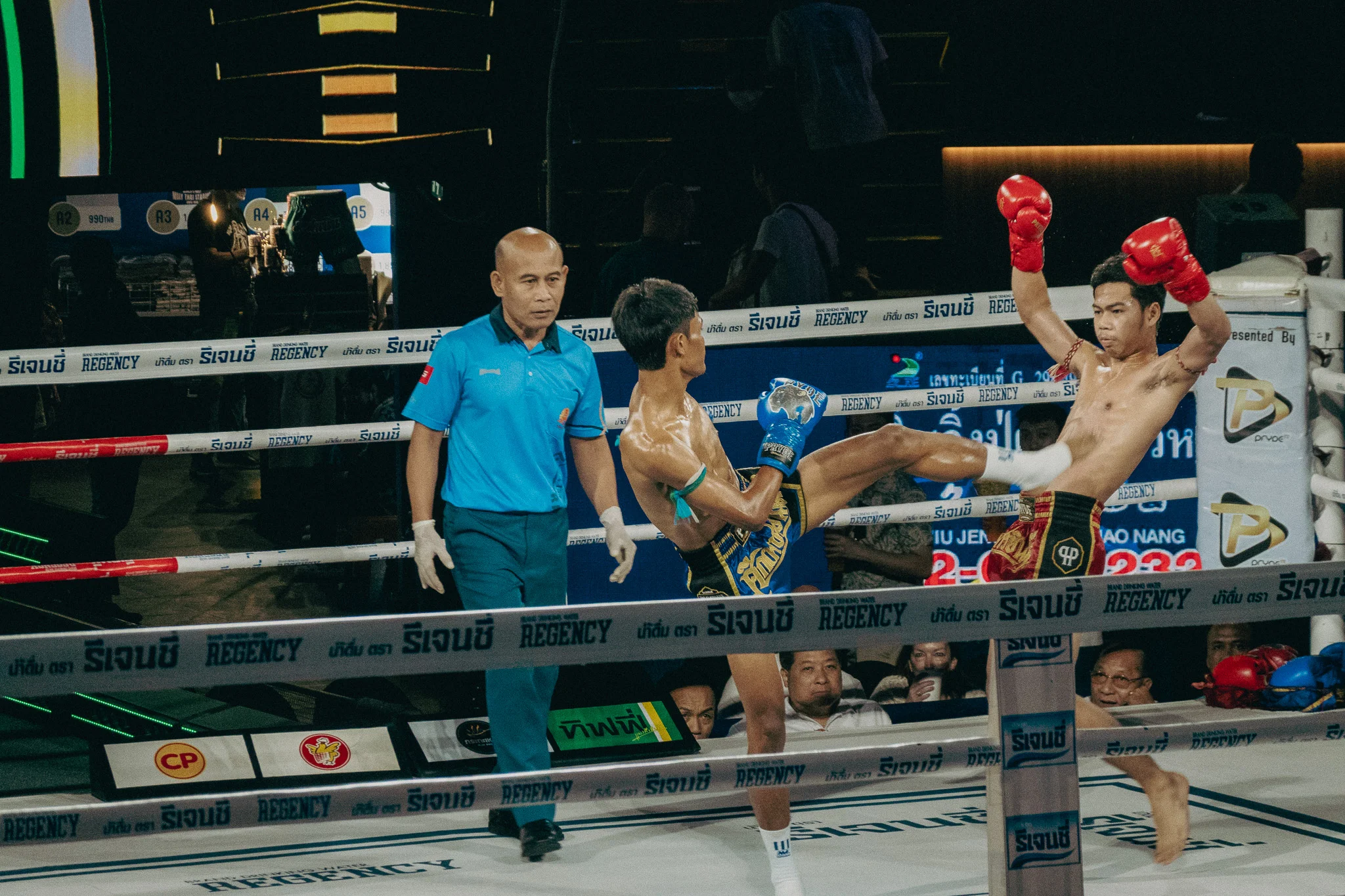 Muay Thai Fighters in combat in the ring