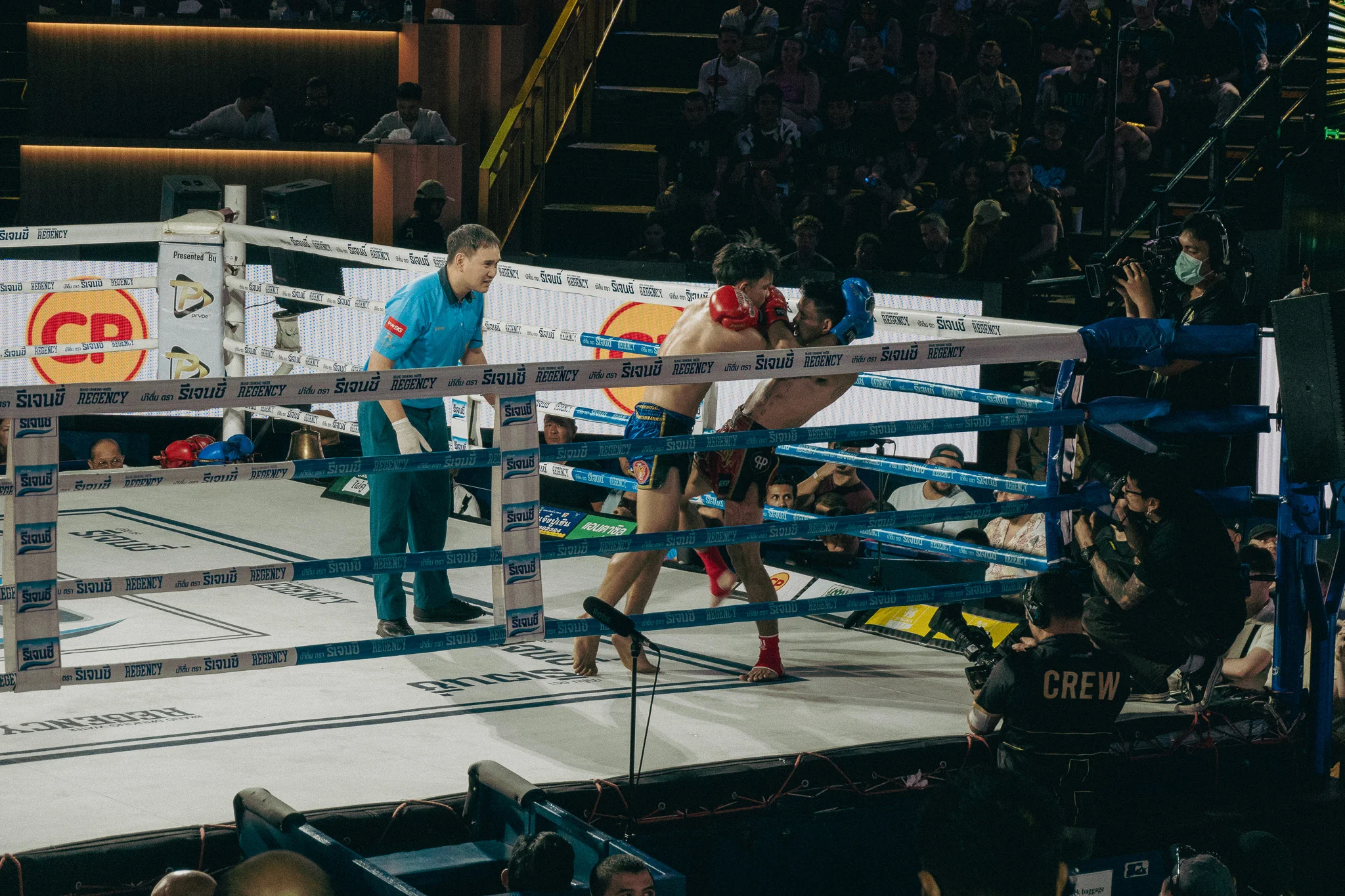 Muay Thai Fighters in combat in the ring