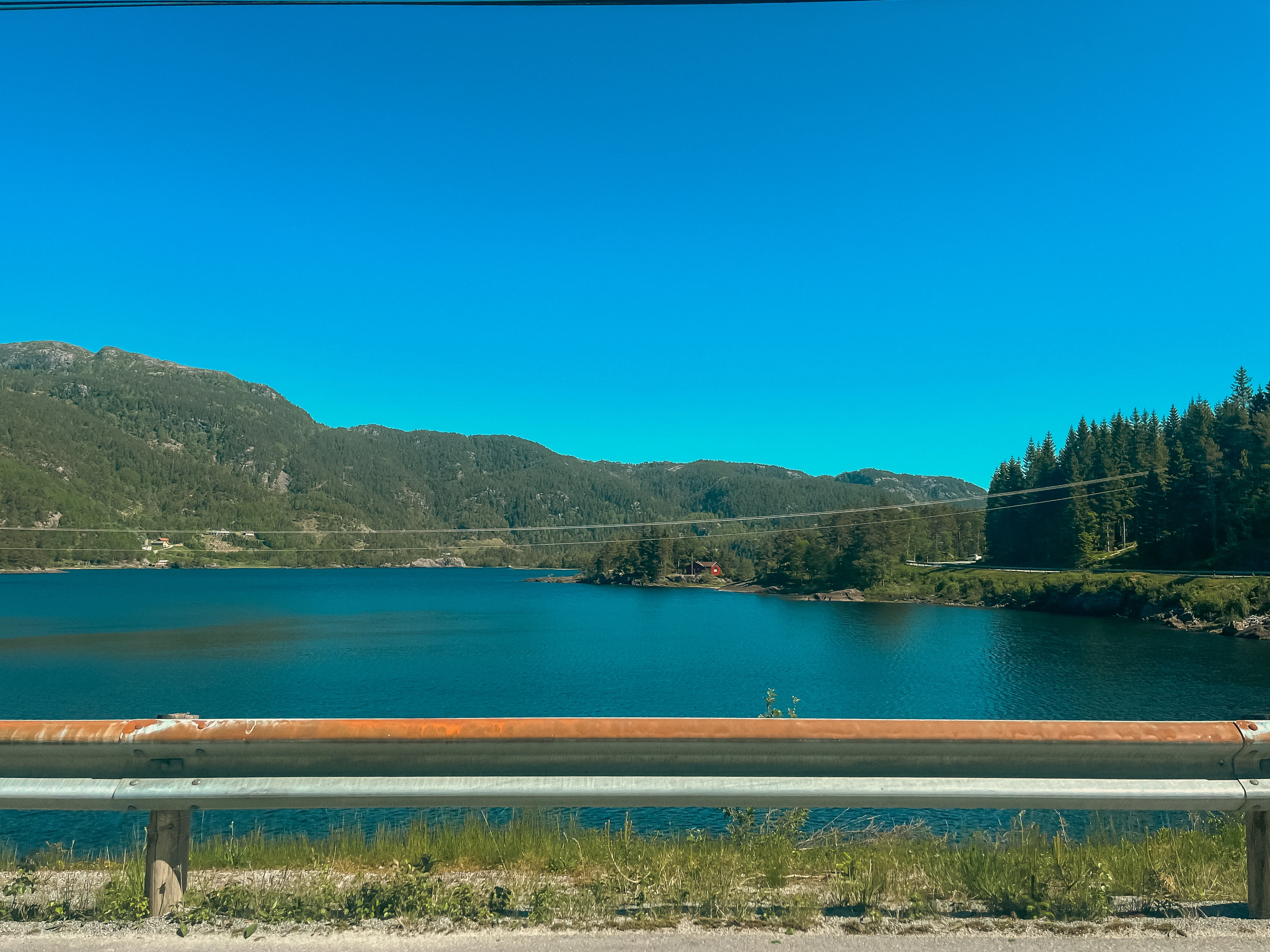 A guard rail and grass along the edge of a fjord with green trees and mountains in the background.