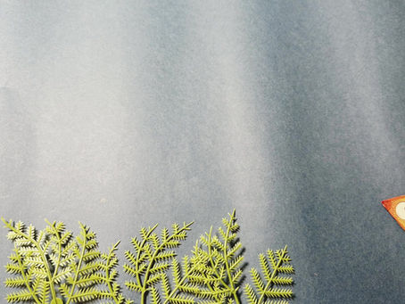 你吃下了多少「塑膠」？- Our Dinner