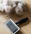 De-Shedding Smooth Coat