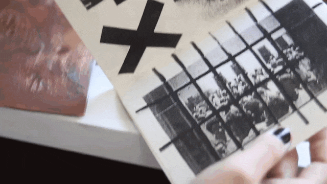 MVI_9622_2 (1).gif
