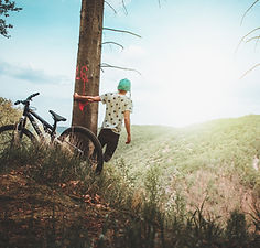 Bicicleta de montaña