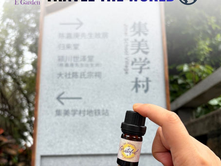 E Garden 產品環遊世界之旅 🌎
E Garden 複方精油去左廈門!
我地不僅是產品的質量,更重視與你們的互動交流!借助廣大粉絲的支持,將不同的產品帶到世界各地,為 E Garden 編寫一段精彩的旅程。
📸 已收到其他熱情回饋的圖片,將會全力以赴回饋大家的支持!感謝你們的愛與支持!💖
**Love you all!** 😘
==== ==== ==== ==== ====