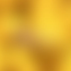 Lemon Essential Oil 檸檬精油