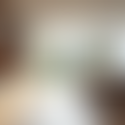 Benefits of Hiring an Architect for Renovations: Expert Renovation Architecture Services